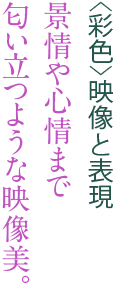 <彩色>映像と表現 景情や心情まで匂い立つような映像美。